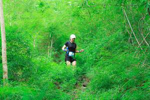 BIB: 
                            <button type="button" onclick="openModal(22091734)" class="btn btn-primary btn-sm float-right btn-popup" data-toggle="modal" data-target=".modal-high-quality">
                        <i class="fas fa-shopping-cart"></i> Add to Cart
                    </button>
                                            <button type="button" onclick="isThisMe(22091734, true)" class="btn btn-success btn-sm float-right btn-popup btn-isme hidden" data-toggle="tooltip" data-placement="bottom" title="นี่คือรูปของคุณใช่ไหม คลิกที่นี่เพื่อเอาเข้าอัลบั้ม">
                        <i class="fas fa-plus"></i> Add to album
                    </button>
                    <button type="button" onclick="isThisMe(22091734, false)" class="btn btn-warning btn-sm float-right btn-popup btn-isnotme hidden">
                        <i class="fas fa-ban"></i> Remove from album
                    </button>